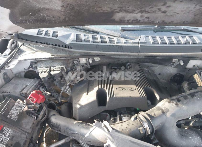 Photo 10 of 2019 Ford F-150 XLT (VIN 1FTEW1E42KFB14264)