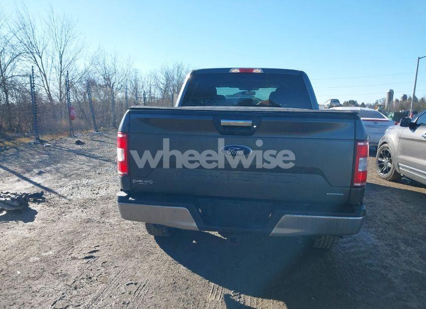 Photo 17 of 2019 Ford F-150 XLT (VIN 1FTEW1E42KFB38094)