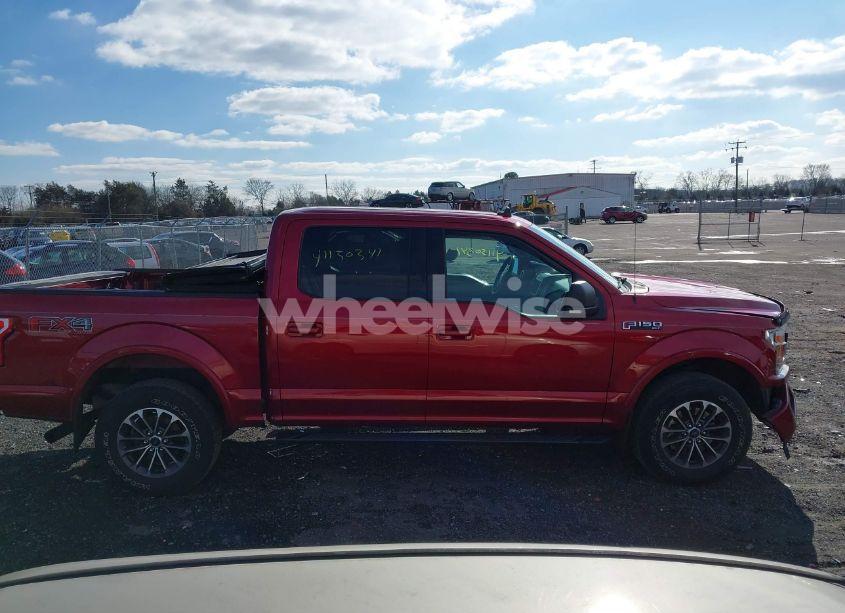 Photo 14 of 2019 Ford F-150 XLT (VIN 1FTEW1E44KFA49949)