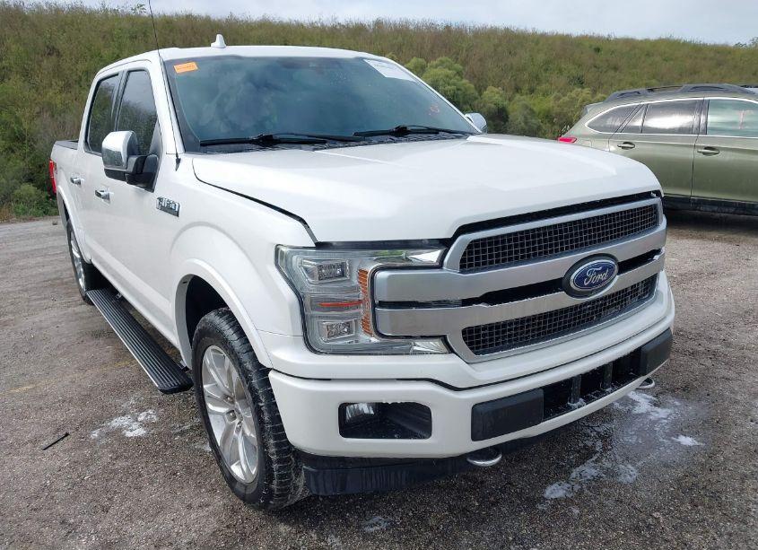 2019 Ford F-150 PLATINUM (VIN 1FTEW1E44KFB77057) main photo