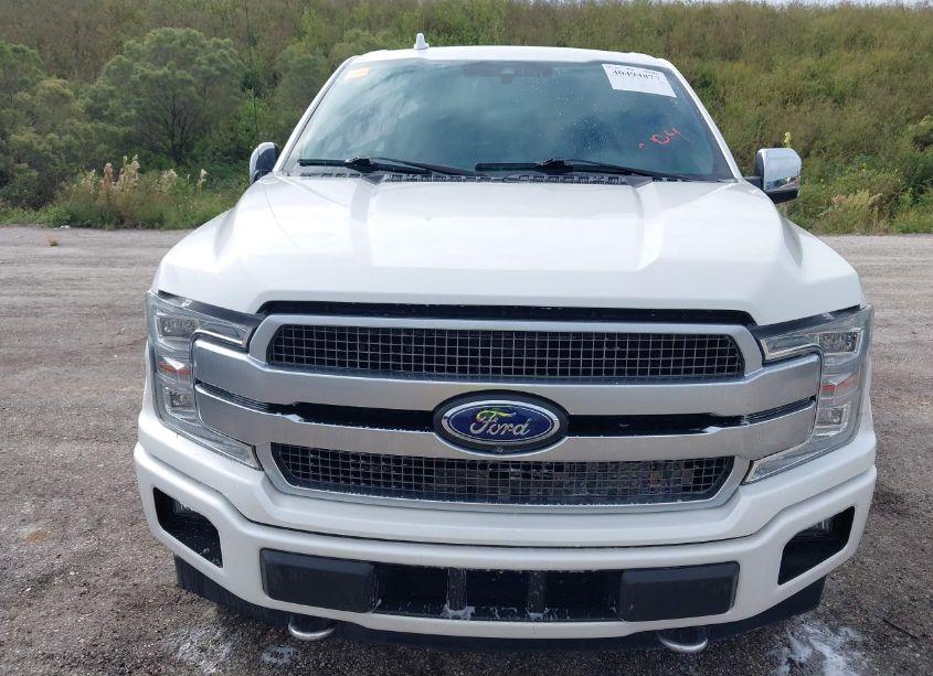 Photo 12 of 2019 Ford F-150 PLATINUM (VIN 1FTEW1E44KFB77057)