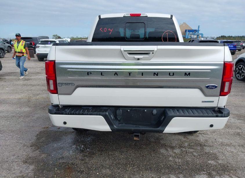 Photo 16 of 2019 Ford F-150 PLATINUM (VIN 1FTEW1E44KFB77057)