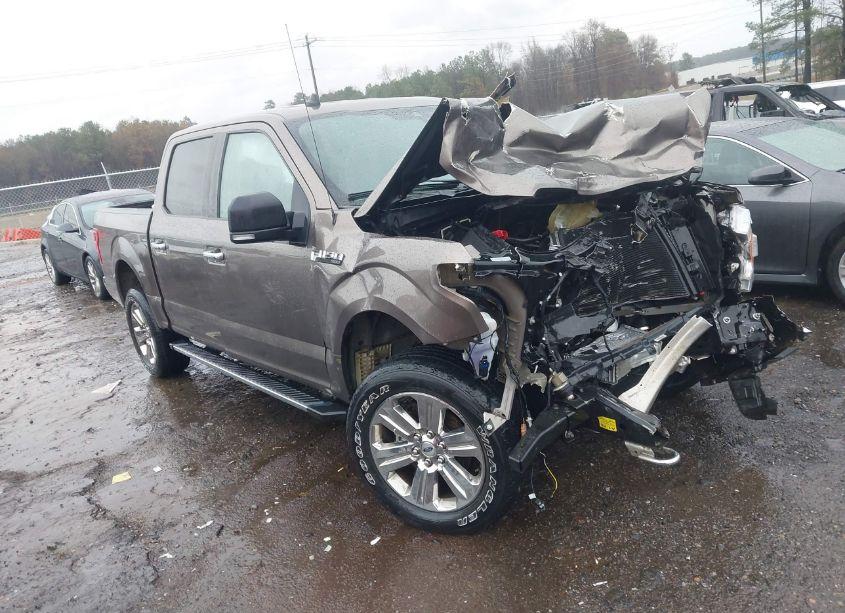 2019 Ford F-150 XLT (VIN 1FTEW1E44KFD41164) main photo