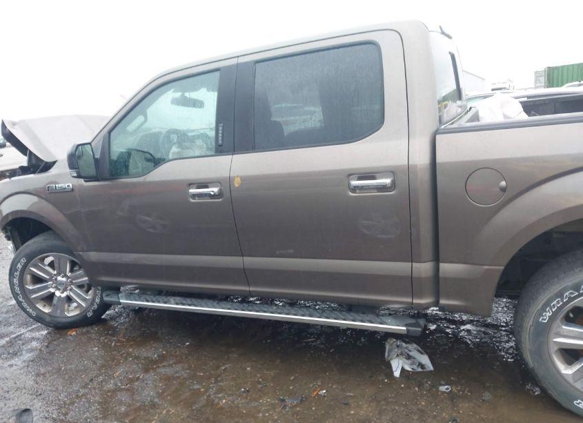 Photo 14 of 2019 Ford F-150 XLT (VIN 1FTEW1E44KFD41164)