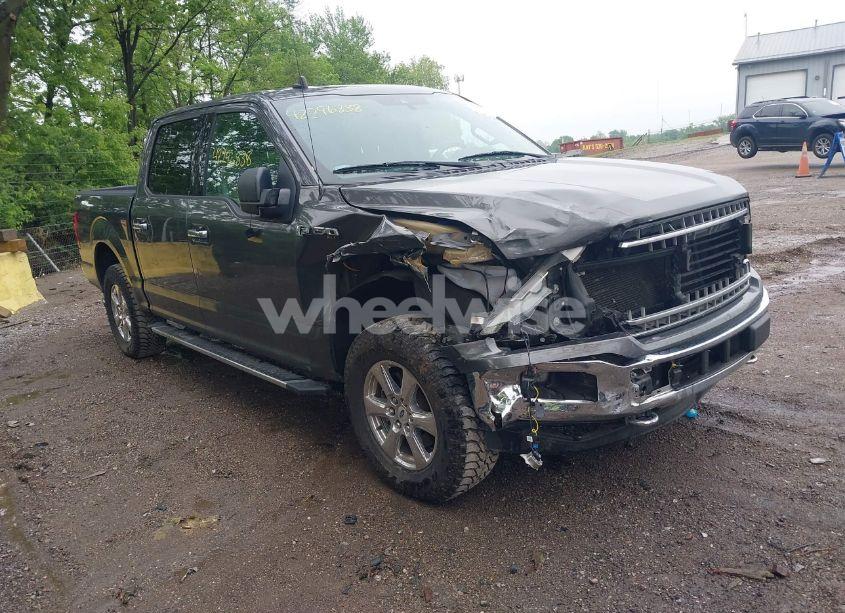 2019 Ford F-150 XLT (VIN 1FTEW1E44KKD43553) main photo
