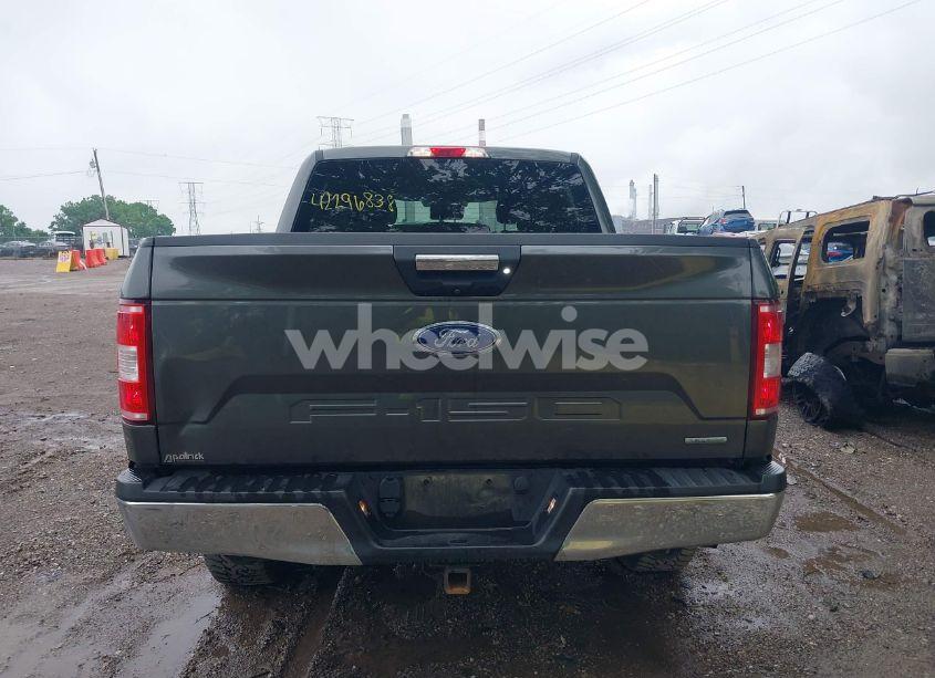 Photo 16 of 2019 Ford F-150 XLT (VIN 1FTEW1E44KKD43553)