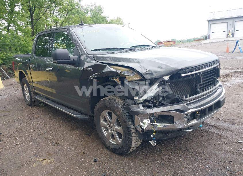 Photo 6 of 2019 Ford F-150 XLT (VIN 1FTEW1E44KKD43553)