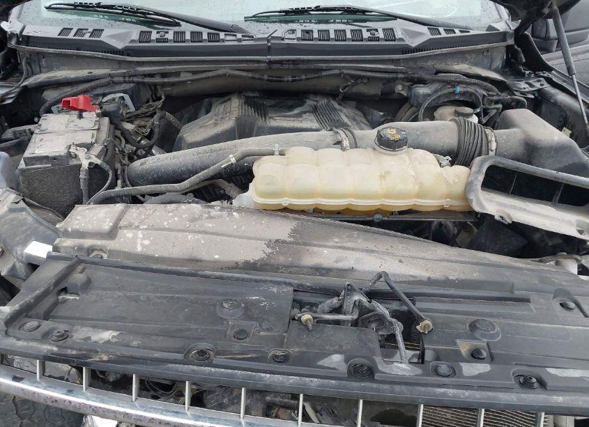 Photo 10 of 2020 Ford F-150 XLT (VIN 1FTEW1E44LKF53524)