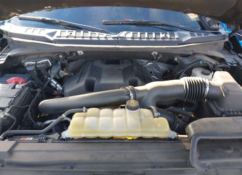 Photo 10 of 2019 Ford F-150 XLT (VIN 1FTEW1E46KFC97717)