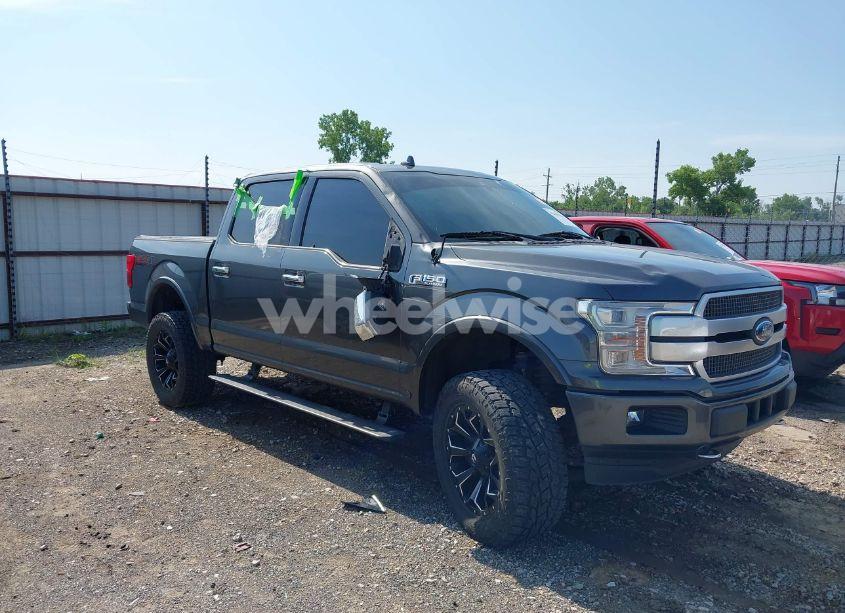 2019 Ford F-150 PLATINUM (VIN 1FTEW1E46KFD14077) main photo