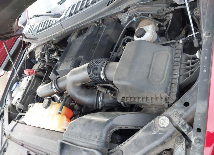 Photo 10 of 2019 Ford F-150 XLT (VIN 1FTEW1E47KFA28948)