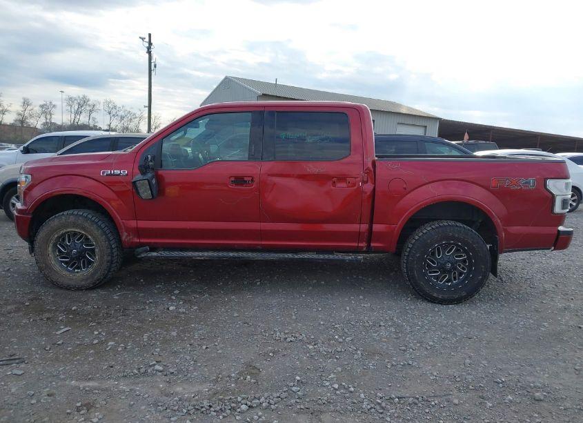 Photo 14 of 2019 Ford F-150 XLT (VIN 1FTEW1E47KFA28948)