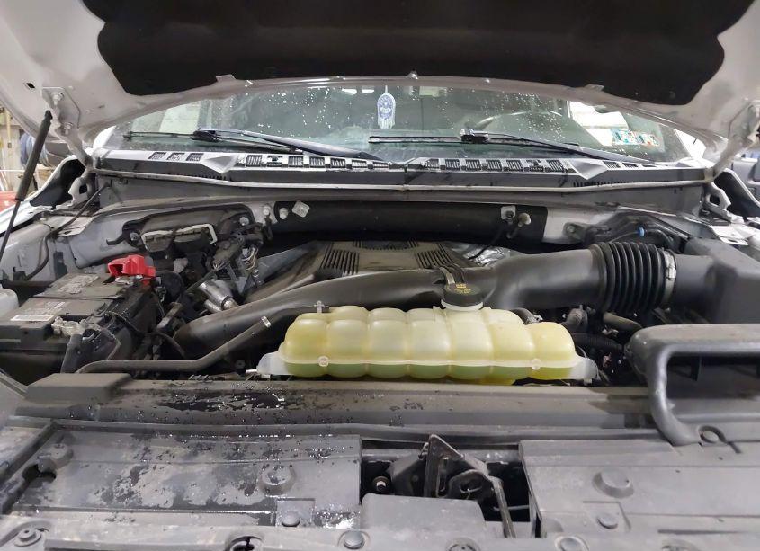 Photo 10 of 2019 Ford F-150 XLT (VIN 1FTEW1E47KFC43052)