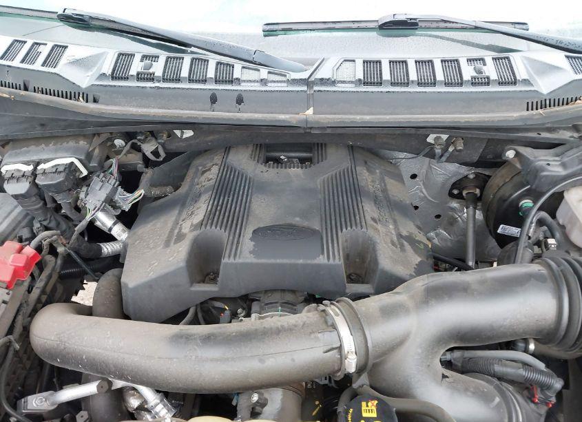 Photo 10 of 2019 Ford F-150 XLT (VIN 1FTEW1E48KFC11775)