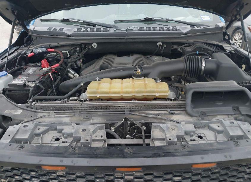 Photo 10 of 2019 Ford F-150 XLT (VIN 1FTEW1E48KKE31909)