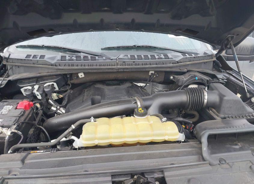 Photo 10 of 2020 Ford F-150 XL (VIN 1FTEW1E48LKD15207)