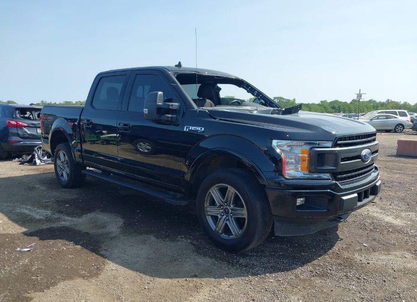 2019 Ford F-150 XLT (VIN 1FTEW1E49KFA11391) main photo