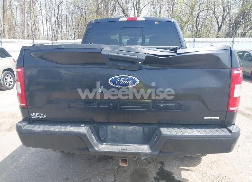 Photo 16 of 2019 Ford F-150 XLT (VIN 1FTEW1E49KFB95490)