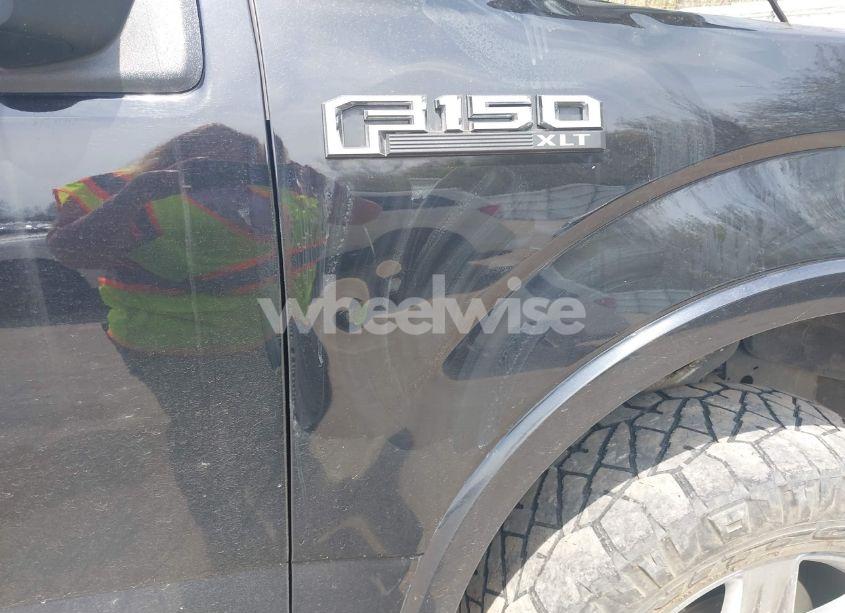 Photo 18 of 2019 Ford F-150 XLT (VIN 1FTEW1E49KFB95490)