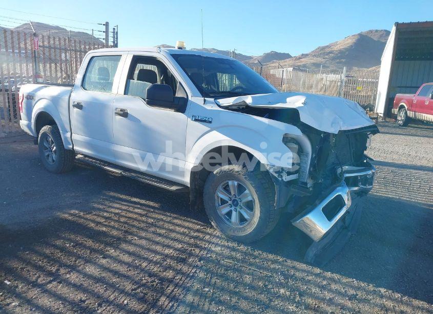 2019 Ford F-150 XL (VIN 1FTEW1E49KKE17887) main photo