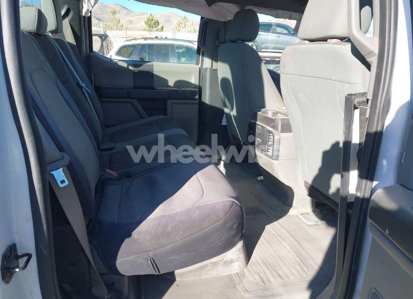 Photo 8 of 2019 Ford F-150 XL (VIN 1FTEW1E49KKE17887)