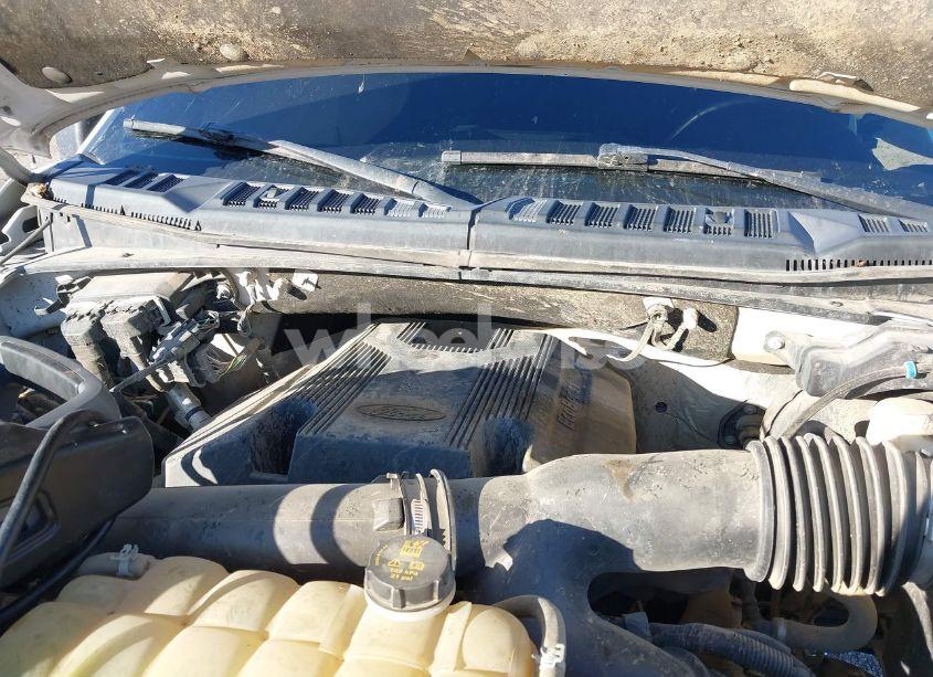 Photo 10 of 2019 Ford F-150 XLT (VIN 1FTEW1E4XKKE02735)