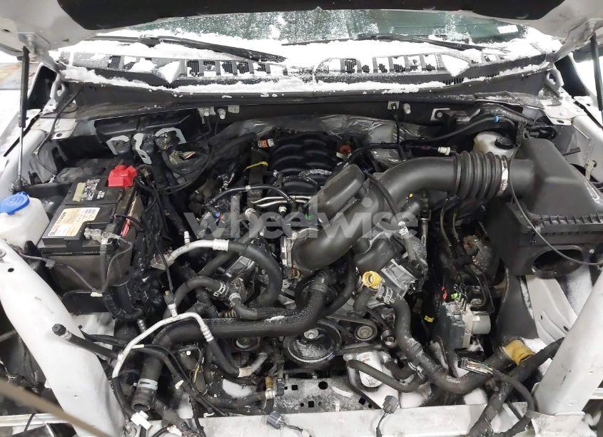 Photo 10 of 2019 Ford F-150 PLATINUM (VIN 1FTEW1E51KFA39873)