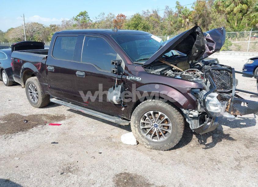 2019 Ford F-150 XLT (VIN 1FTEW1E51KFB47572) main photo