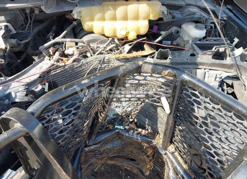 Photo 10 of 2019 Ford F-150 XLT (VIN 1FTEW1E51KFB47572)