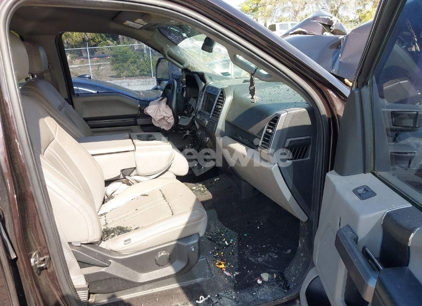 Photo 5 of 2019 Ford F-150 XLT (VIN 1FTEW1E51KFB47572)