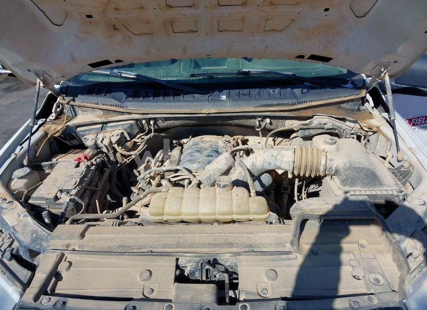 Photo 10 of 2019 Ford F-150 XL (VIN 1FTEW1E51KFC52807)