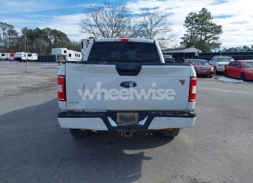 Photo 16 of 2019 Ford F-150 XL (VIN 1FTEW1E51KFC52807)