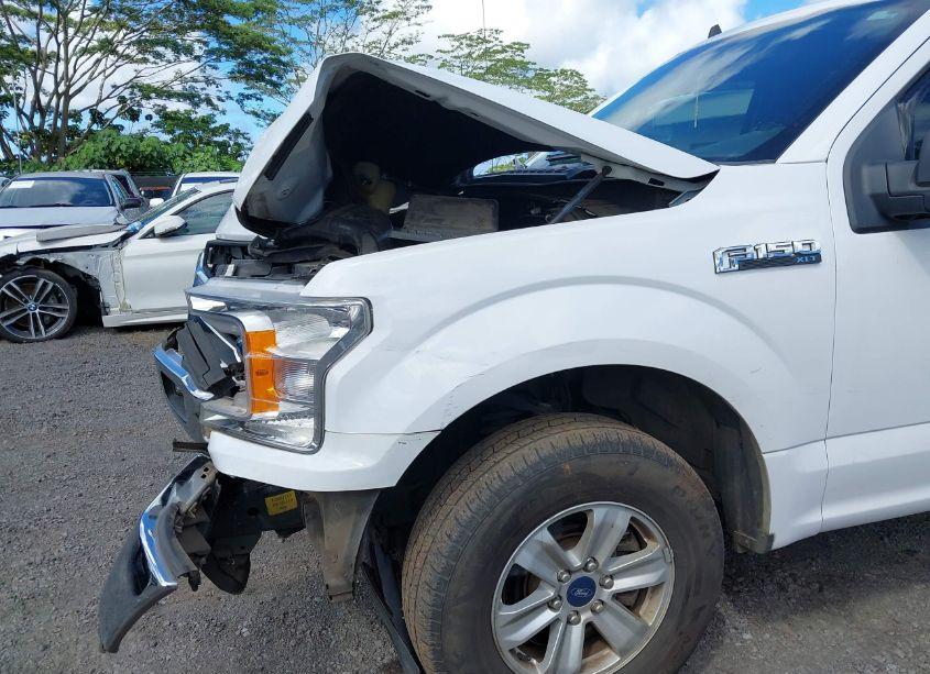 Photo 17 of 2019 Ford F-150 XLT (VIN 1FTEW1E51KKC05087)