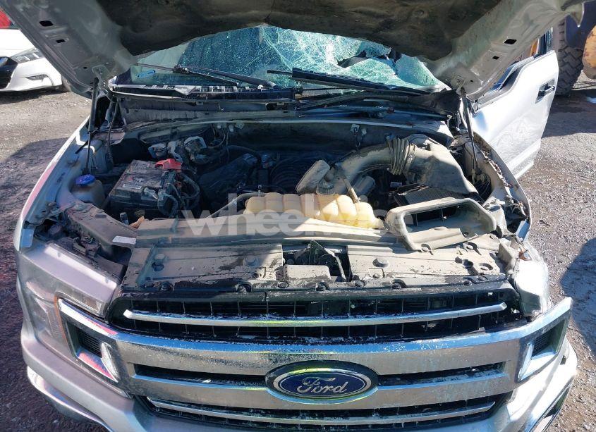 Photo 10 of 2019 Ford F-150 XLT (VIN 1FTEW1E51KKF09682)