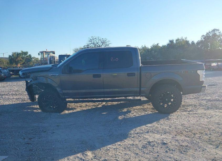 Photo 15 of 2019 Ford F-150 XLT (VIN 1FTEW1E52KFA65723)