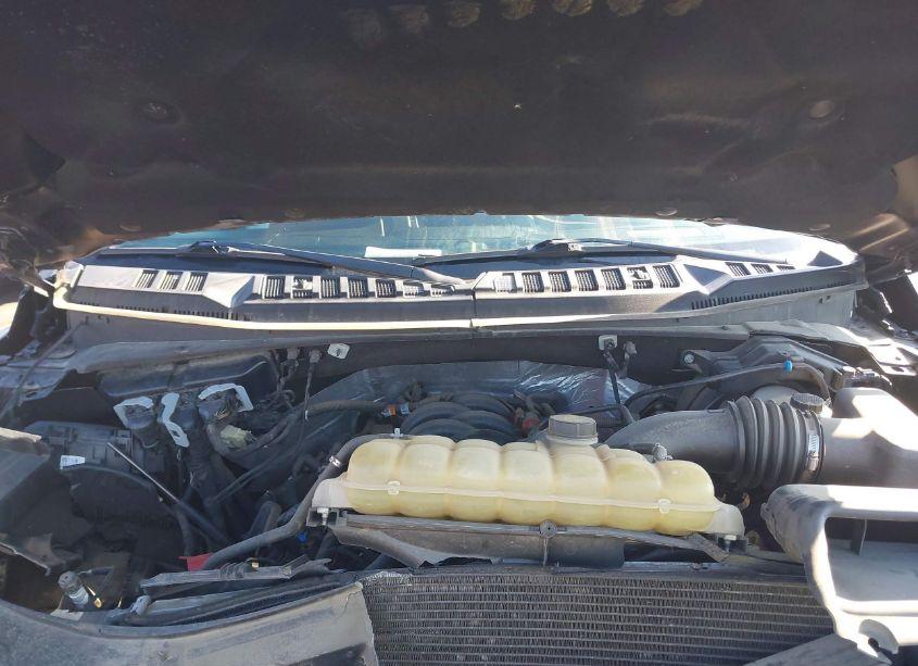 Photo 10 of 2019 Ford F-150 XLT (VIN 1FTEW1E52KFB20171)