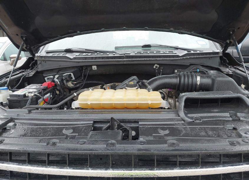 Photo 10 of 2019 Ford F-150 XLT (VIN 1FTEW1E52KFB21286)