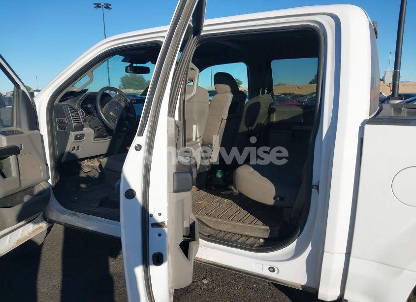 Photo 8 of 2019 Ford F-150 XLT (VIN 1FTEW1E52KKD51384)