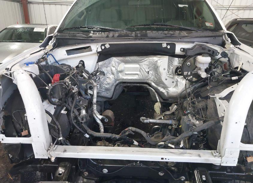 Photo 10 of 2019 Ford F-150 KING RANCH/LARIAT/PLATINUM/XL/XLT (VIN 1FTEW1E52KKE92147)