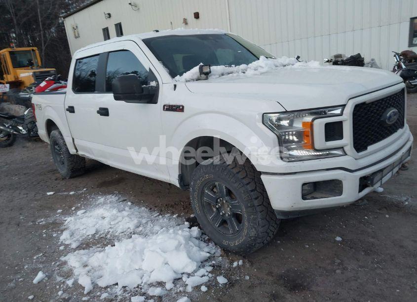2019 Ford F-150 XL (VIN 1FTEW1E52KKF06080) main photo