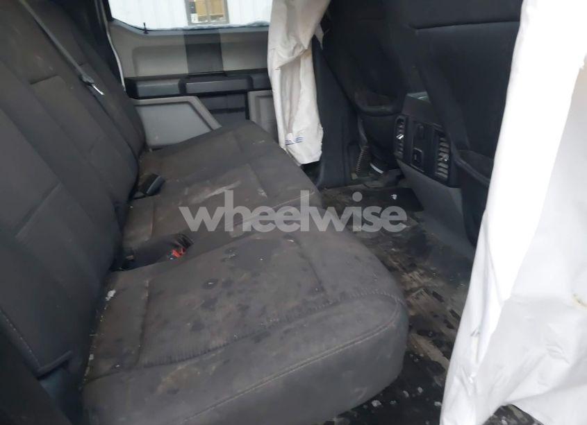 Photo 8 of 2019 Ford F-150 XL (VIN 1FTEW1E52KKF06080)