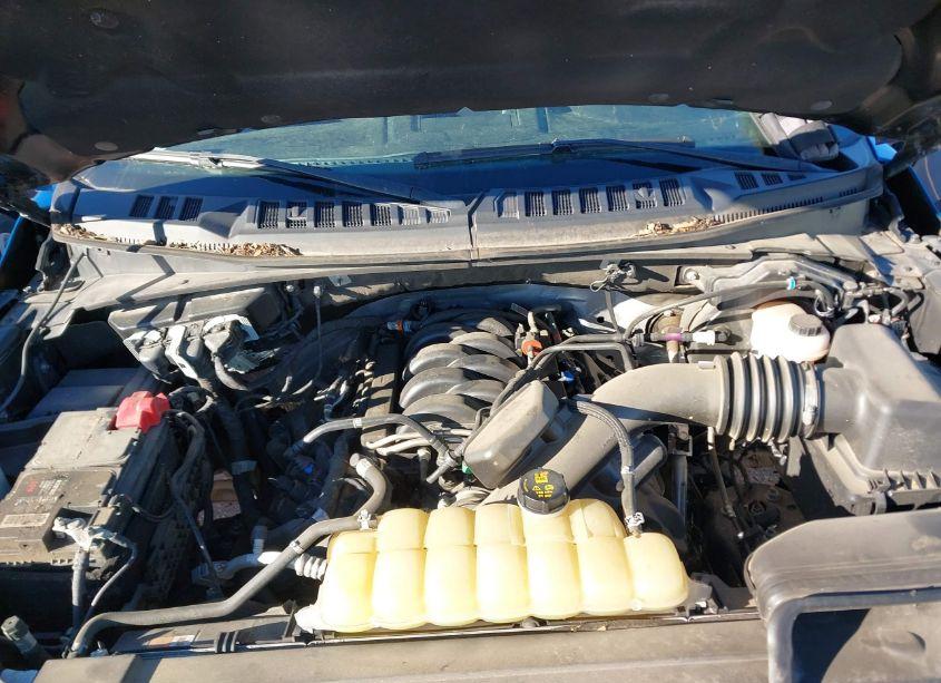 Photo 10 of 2019 Ford F-150 XLT (VIN 1FTEW1E52KKF08802)