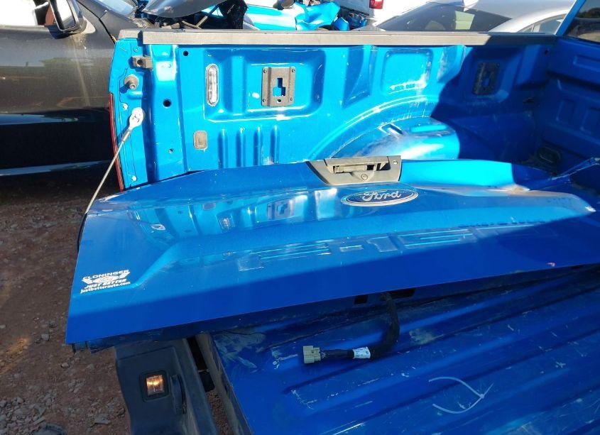 Photo 12 of 2019 Ford F-150 XLT (VIN 1FTEW1E52KKF08802)