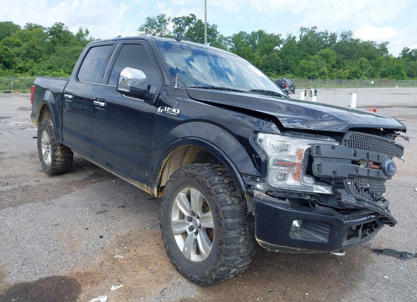 2020 Ford F-150 PLATINUM (VIN 1FTEW1E52LFC10423) main photo
