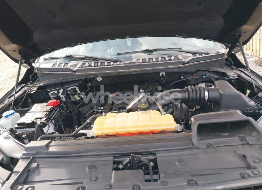 Photo 10 of 2019 Ford F-150 XLT (VIN 1FTEW1E53KFA20399)