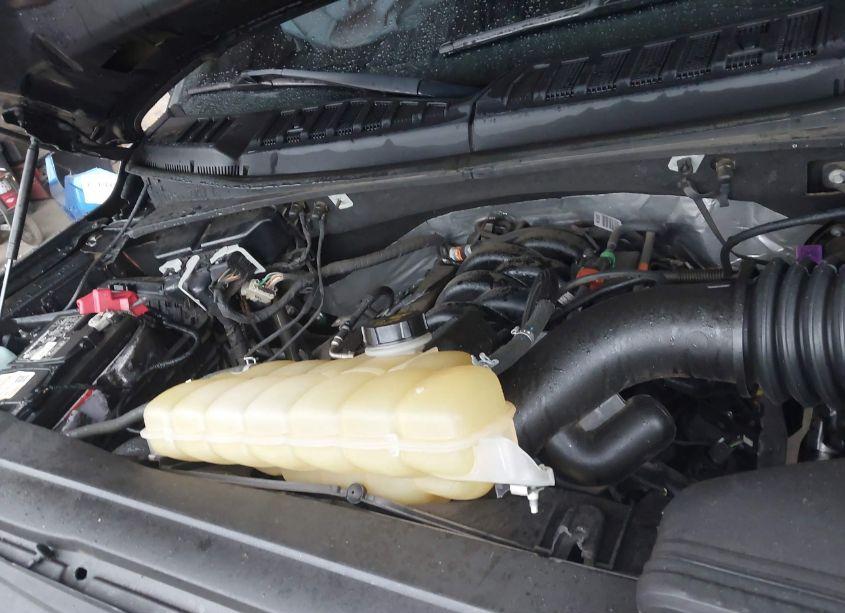 Photo 10 of 2019 Ford F-150 XL (VIN 1FTEW1E53KFB24262)