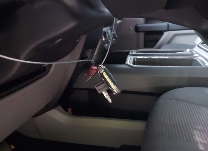 Photo 11 of 2019 Ford F-150 XL (VIN 1FTEW1E53KFB24262)