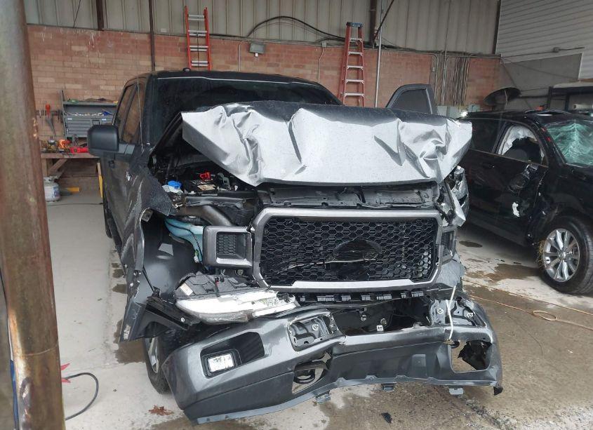 Photo 6 of 2019 Ford F-150 XL (VIN 1FTEW1E53KFB24262)