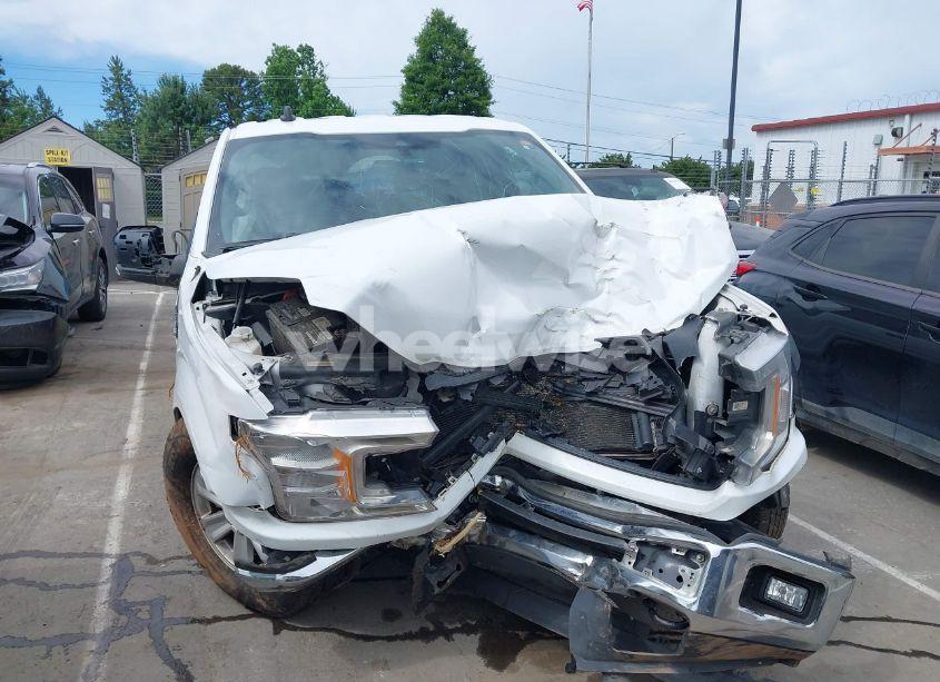 Photo 12 of 2019 Ford F-150 XLT (VIN 1FTEW1E53KFD17091)