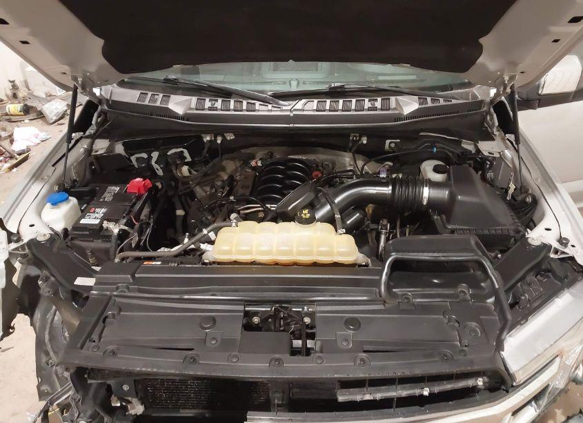 Photo 10 of 2019 Ford F-150 XLT (VIN 1FTEW1E53KKC40844)